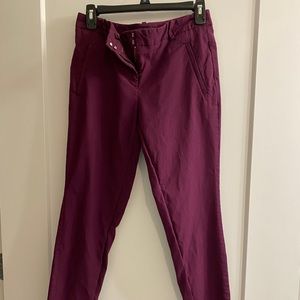 The Limited Exact Stretch Women’s Dress Pants